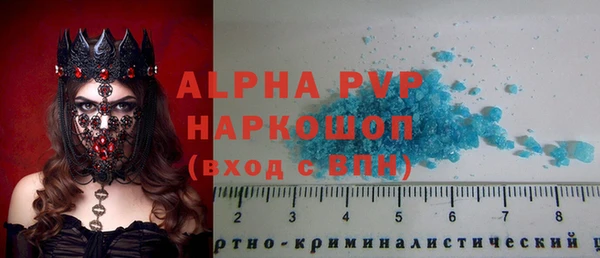 стафф Ельня