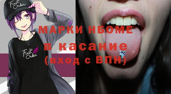 стафф Ельня