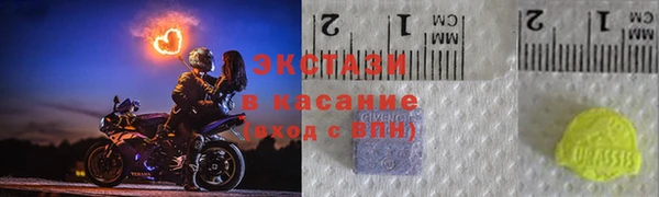 стафф Ельня