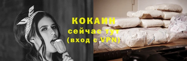 стафф Ельня