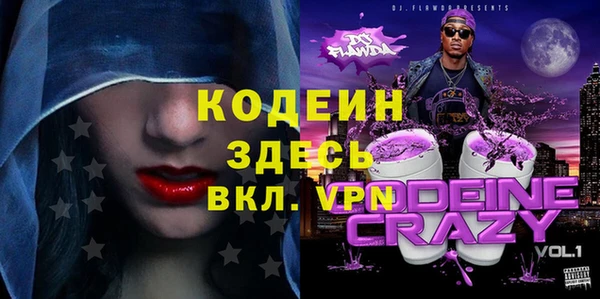 стафф Ельня