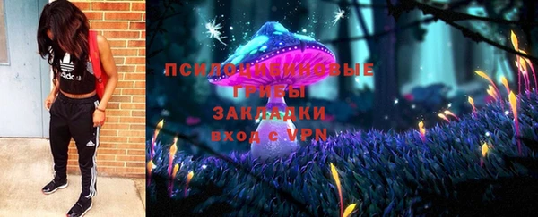 стафф Ельня