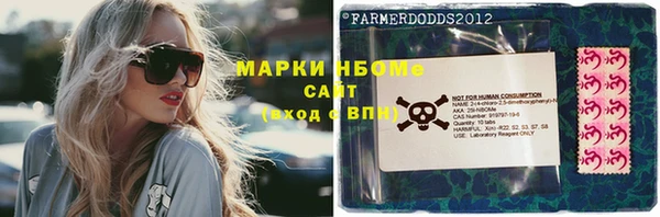 стафф Ельня