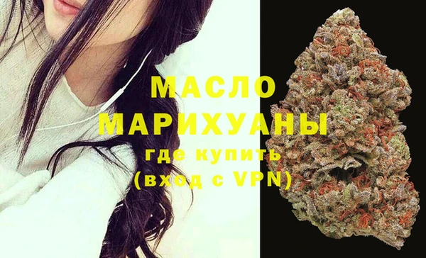 стафф Ельня